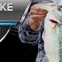 Day 2 Weigh In NPFL Stop 3 At Douglas Lake