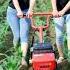 Cute Girl Operating Mini Cultivator In Young Corn Field Farming Farmer Rurallife