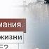 СИЛА ФОКУСА ВНИМАНИЯ КАК ПОЛУЧИТЬ ОТ ЖИЗНИ ЖЕЛАЕМОЕ ОЛЬГА САЛОДКАЯ