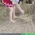 Funny Meme 181 Funny Tobrut Shorts Viral