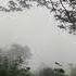Alles Ist Miteinander Verbunden Dark Bonacaud Trivandrum India Scary Ghost