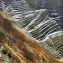Top 10 Insanely Massive Landslides
