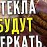 Чтобы оконные стёкла сверкали Наши Мудрые Бабушки знают ответ
