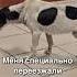 Я старенький и слепой Ангел