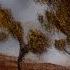 Cycle Of Nature By Loonies