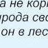 Слова песни Таня Тишинская Волчица