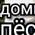 Бездомный пес Ю Шатунов Поет Амир 6 лет