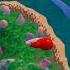 Full Locomotion Unlocked Rotate Pan And Zoom With Ease In Boom Boom Hamster Doom