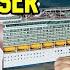 THIS IS THE WORSE BEHAVIOR YOU CAN DO ON A CRUISE SHIP