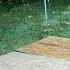 Starting The Build On My DREAM Chicken Coop And SO MUCH MORE