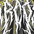 CARCOSA BORN TO LOSE Official Lyric Video 2023