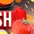 English Spanish Translation Learn Spanish While You Sleep Bilingual Stories For Beginners