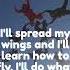 I Ll Spread My Wings And I Ll Learn How To Fly