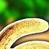 What If Bananas Killed You In Donkey Kong Country Hard Mode