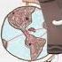 Al Travels The WORLD Crayolacrew