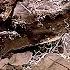 The Dumbest Giant Worm Ever Tremors CLIP