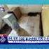 太噁 出租5坪房成 垃圾屋 爬滿小強 米奇 TVBS新聞 TVBSNEWS01