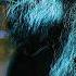 Gandalf S Secret Power Why He Never Used It Middle Earth Lore Explained