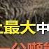 查獲 史上最大 中俄走私案 偷渡一公噸熊掌 價值七百萬人民幣 新聞時時報 2018年1月31日