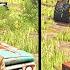 I Survived 2 Years On Abandoned Farm Hardest Challenge Farming Simulator 25
