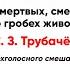 Тропарь Пасхи Христос воскресе из мертвых С З Трубачёв все партии