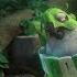 Rio 2 I Will Survive Lyric Video 20th Century FOX