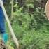 How Does A Single Mother Living In The Forest Maintain Life