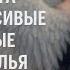Я просила у Бога красивые белые крылья