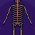 Nervous System Get To Know Our Nervous System A Bit Closer How Does It Works Neurology