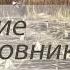 Колин Маккалоу Поющие в терновнике Часть 4 Люк Аудиокнига