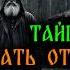КАК СТАТЬ ОТШЕЛЬНИКОМ Таежные истории на ночь