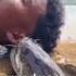 Lin Gan Guli Guli Guli Wata Edit Fish Funny