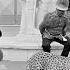 Cheetahs At The Palace Ground In Addis Ababa