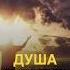 Как тобой курит душа подселенец