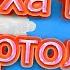 Клип А муха тоже вертолет