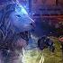 Neverwinter Mod 21 LEGENDARY Collar Choice NEW Mythic Mount ALL Rewards Milestone 3 Northside 2021