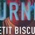 Petit Biscuit Burnin Instrumental Version English Lyrics CC