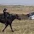 Чеди Хол 15 05 21 Улуг чугурук тыва аьттар