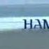 НТВ Заставка программы Намедни 2003