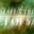 The Amulet Of Samarkand Trailer The Bartimaeus Trilogy