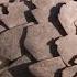 Pangolins The Most Trafficked Mammal You Ve Never Heard Of National Geographic
