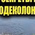 ОДЕКОЛОН Хитрость опытных рыбаков всё что нужно это посмотреть реакция рыбы на одеколон