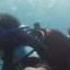 The First Dive