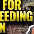 Prepare A Snail Farm For The New Breeding Season Clearing And Planting Essentials