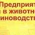 Обзор программы 1С Селекция в животноводстве Свиноводство