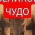 ВЕЛИКОЕ ЧУДО БОЖИЕ Богом созданный Православный Крест внутри дерева Православие Истина Бог жив