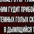 Сумерки Иван Бунин Русская Поэзия читает Павел Беседин