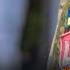 ВЛК срочно проходят ОБЯЗАТЕЛЬНО все Без вариантов