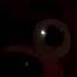 SFM The Foxy Song By GroundBreaking