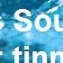 10 Minutes Drops At 4000 Hz Modulation 0 5 Oct As Sound Therapy For Tinnitus